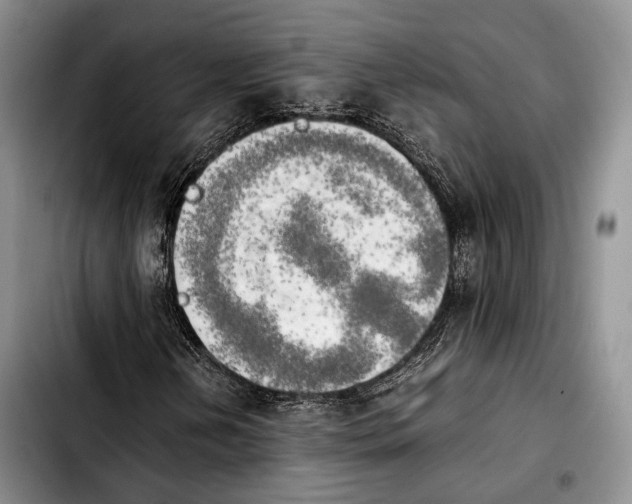 X0000103901202200810101237