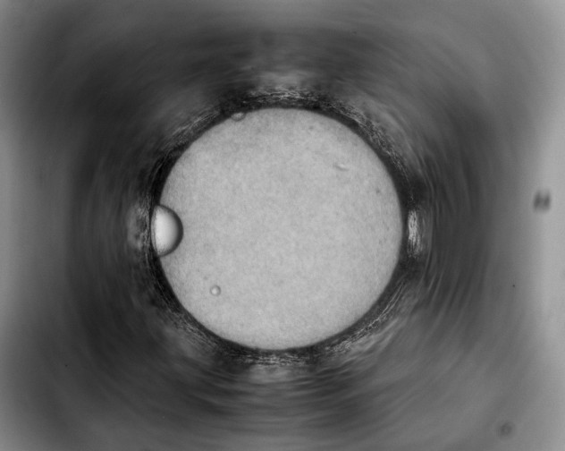 X0000103901203200810101237