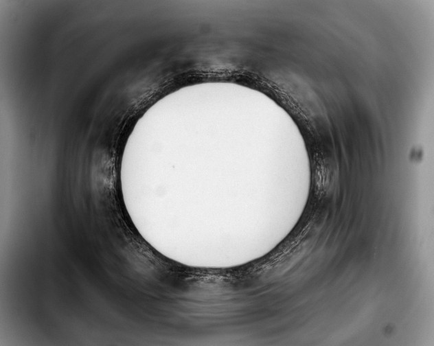 X0000103901204200810101237