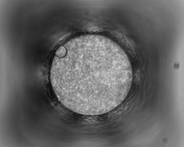 X0000103901205200810101237