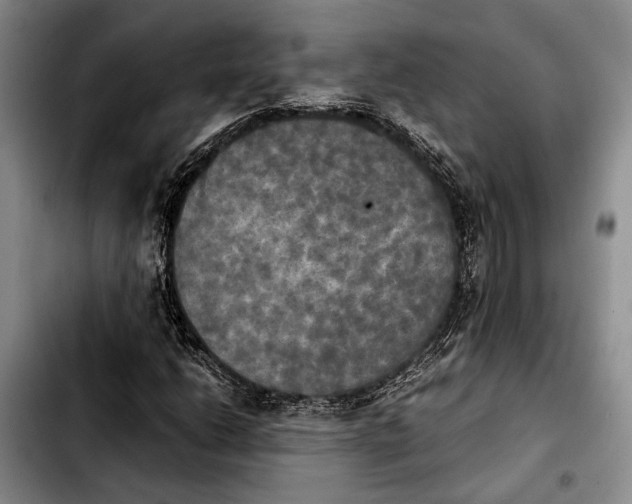 X0000103901206200810101237