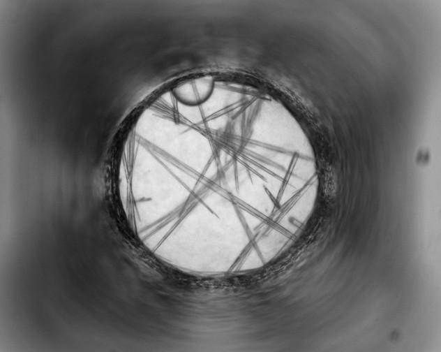 X0000103901208200810101237