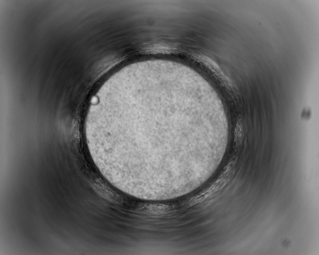 X0000103901209200810101237