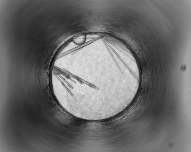 X0000103901212200810101237