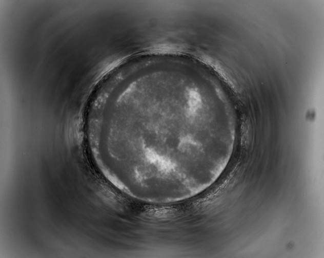 X0000103901213200810101237