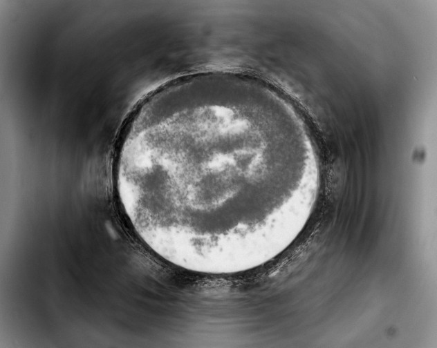 X0000103901214200810101237