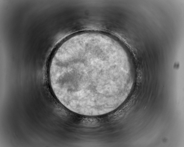 X0000103901215200810101237