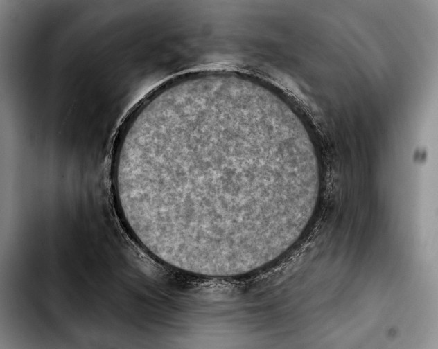 X0000103901216200810101237