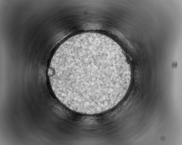 X0000103901217200810101237