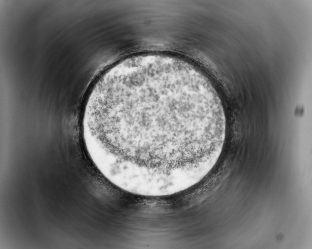 X0000103901218200810101237