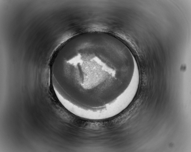 X0000103901219200810101237