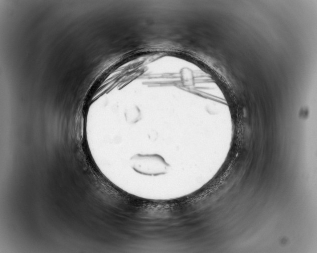 X0000103901221200810101237