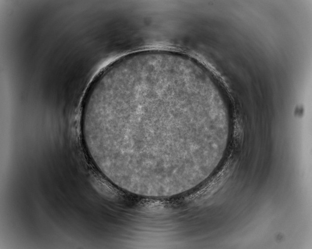 X0000103901222200810101237