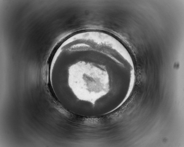 X0000103901223200810101237