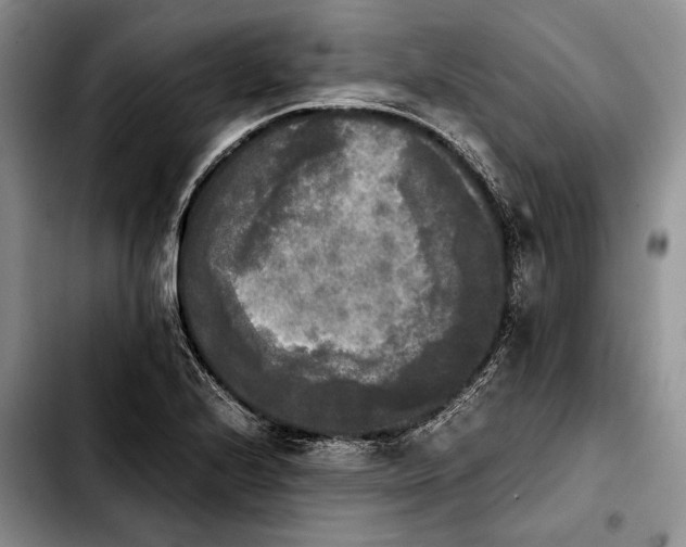 X0000103901224200810101237