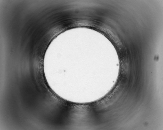 X0000103901225200810101238