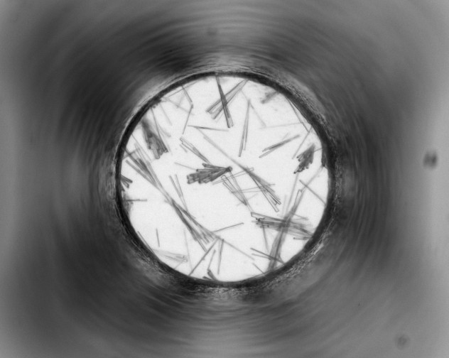 X0000103901226200810101238