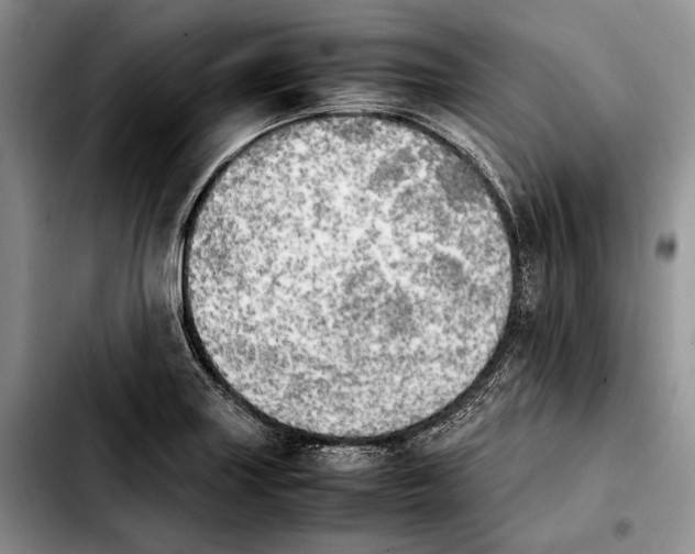 X0000103901227200810101238