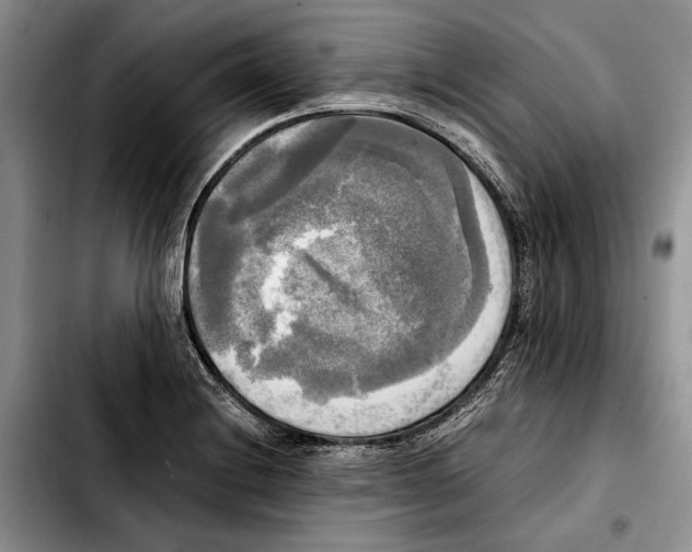 X0000103901228200810101238