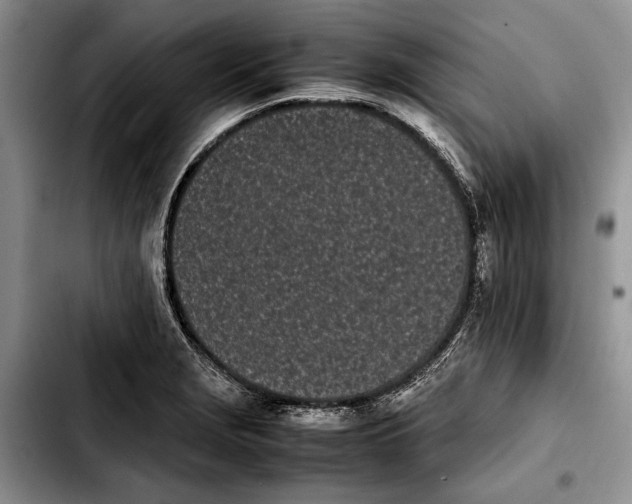 X0000103901229200810101238