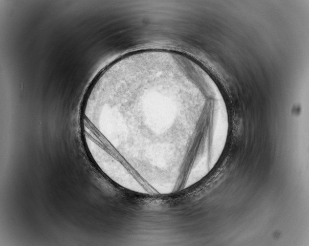 X0000103901230200810101238