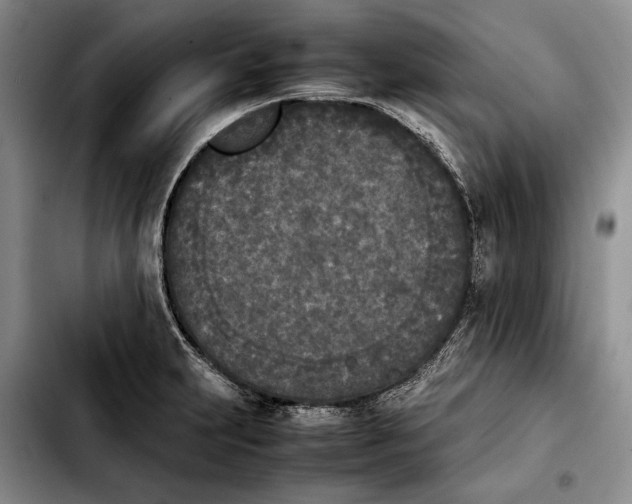 X0000103901231200810101238