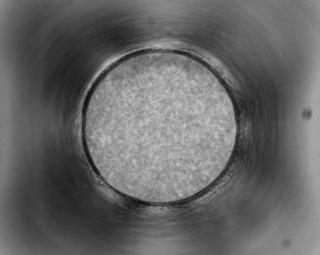 X0000103901232200810101238