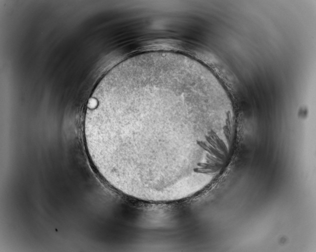 X0000103901233200810101238