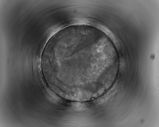 X0000103901234200810101238