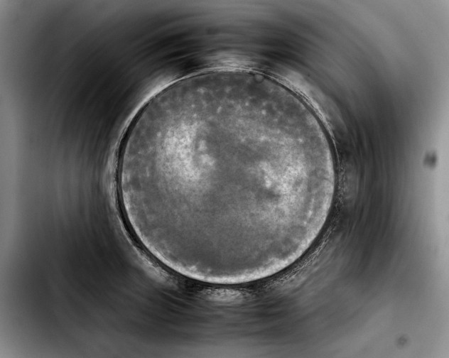 X0000103901235200810101238