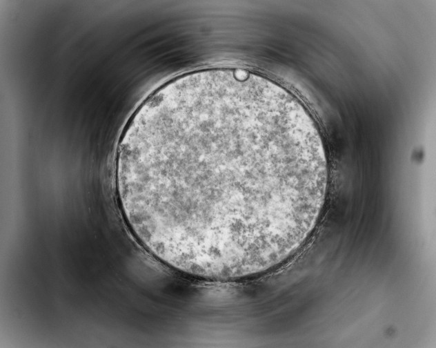 X0000103901236200810101238