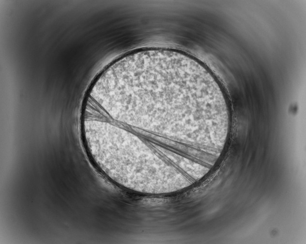 X0000103901237200810101238