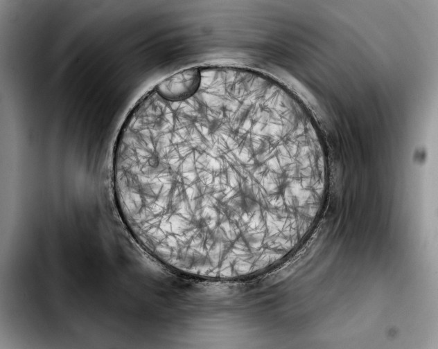 X0000103901240200810101238