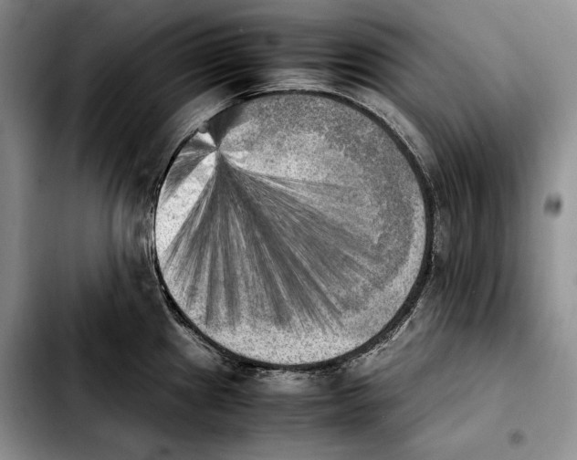 X0000103901241200810101238