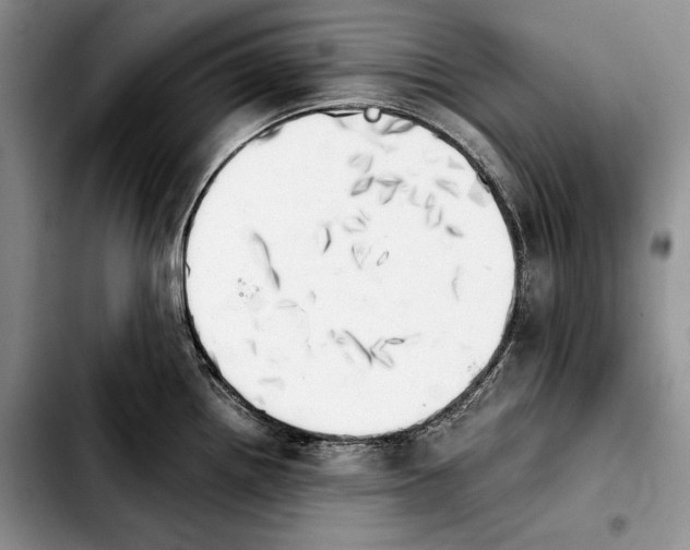 X0000103901242200810101238