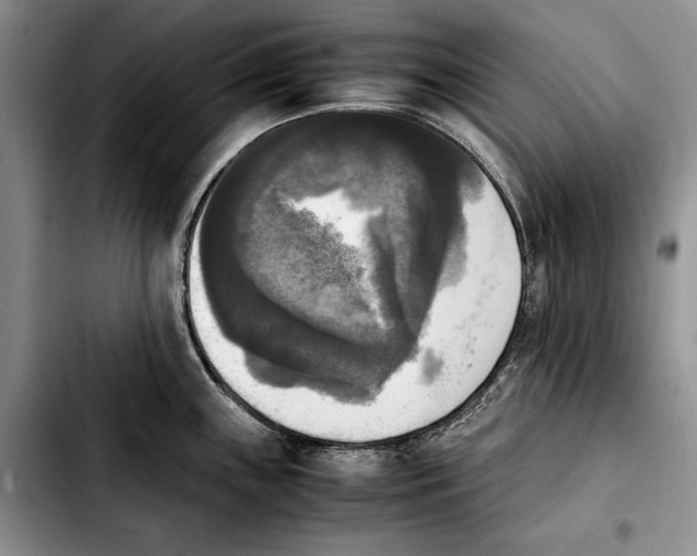 X0000103901243200810101238