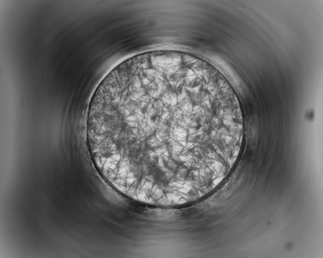 X0000103901244200810101238