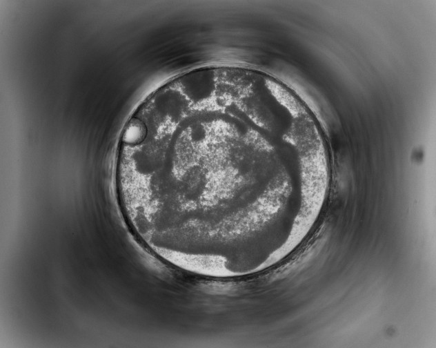 X0000103901245200810101238