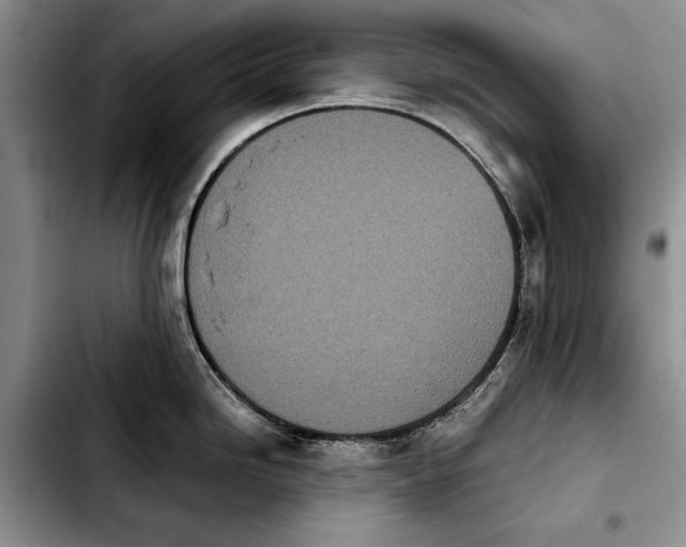 X0000103901246200810101238