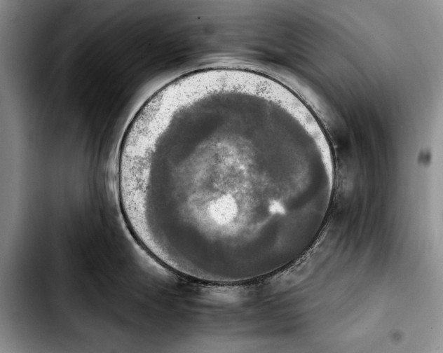 X0000103901247200810101238