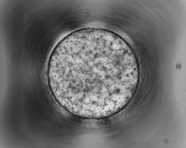 X0000103901248200810101238