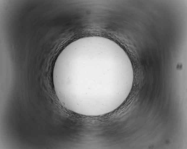 X0000103901249200810101237