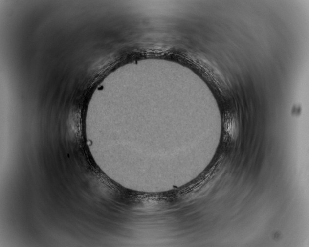 X0000103901252200810101237