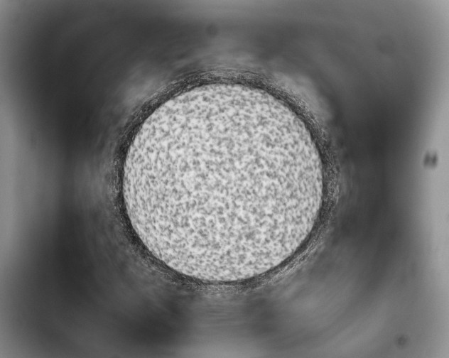 X0000103901253200810101237