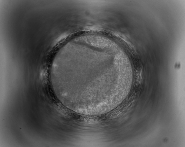 X0000103901254200810101237