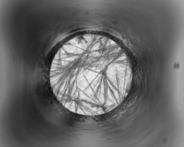 X0000103901255200810101237