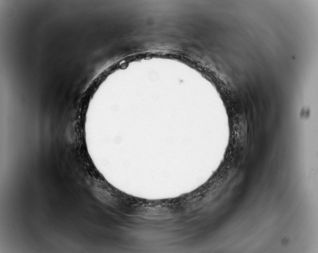 X0000103901256200810101237