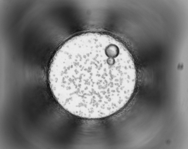 X0000103901257200810101237