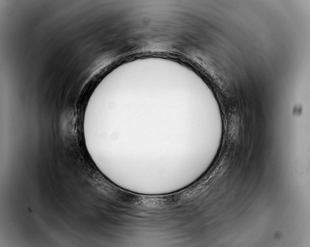 X0000103901258200810101237