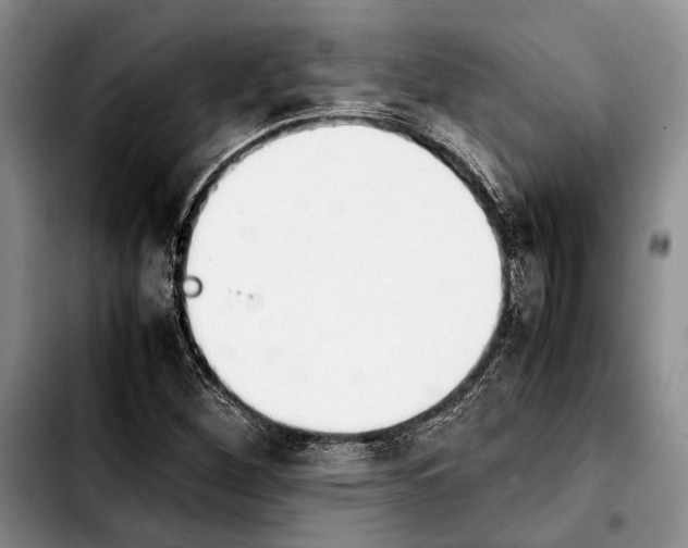 X0000103901260200810101237